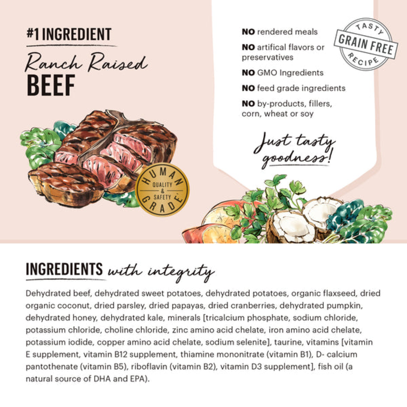 The Honest Kitchen Grain Free Beef Recipe