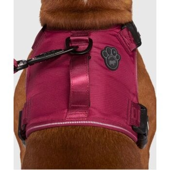 Canada Pooch Complete Control Harness Plum