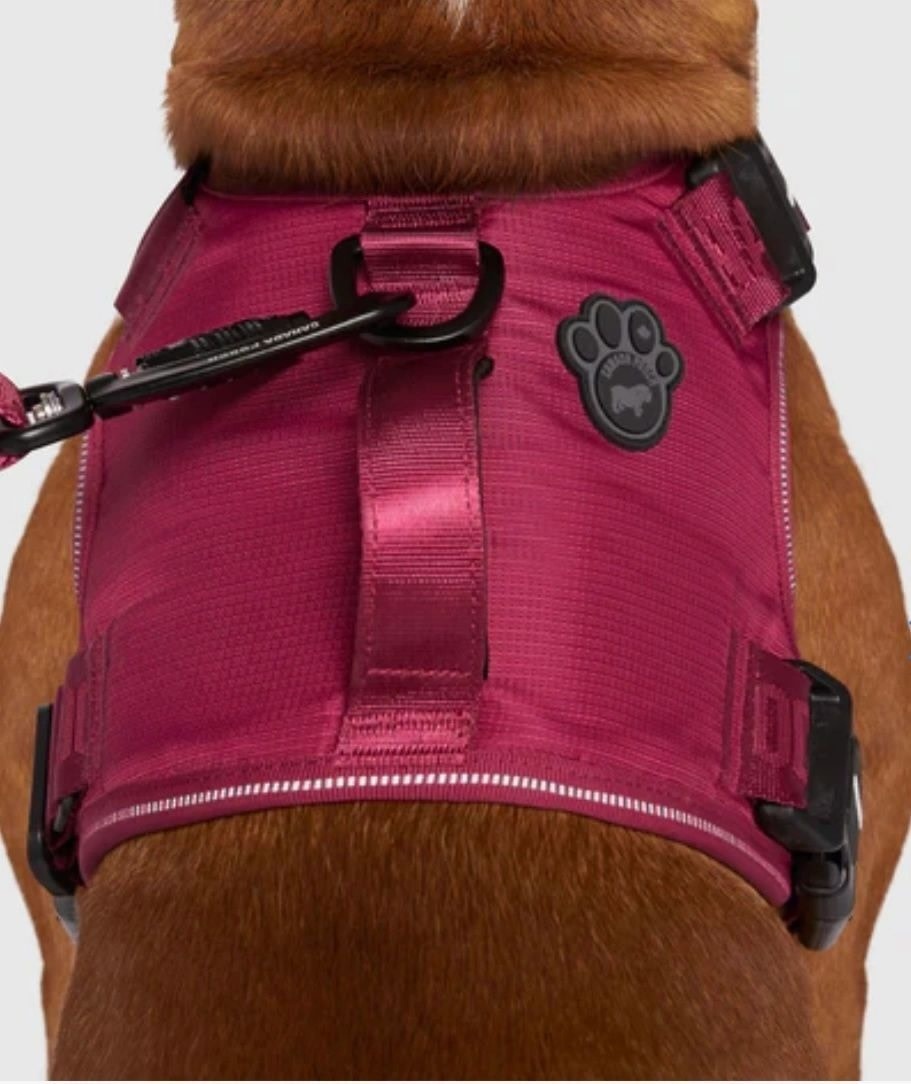 Canada Pooch Complete Control Harness Plum