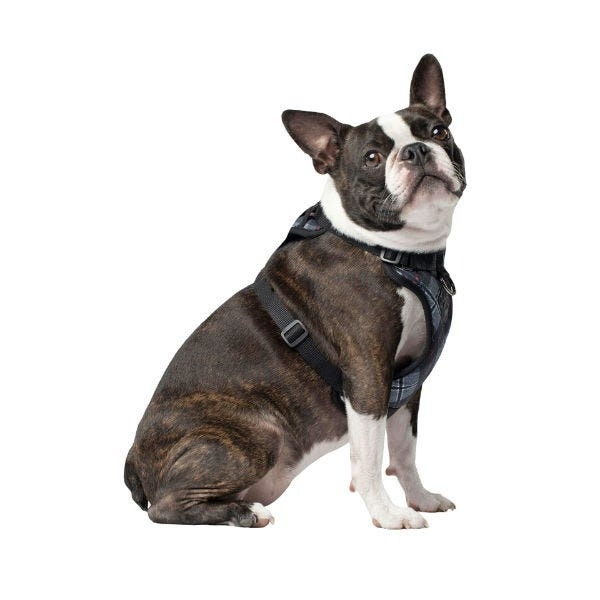 Canada Pooch The Everything Harness Water-Resistant Plaid