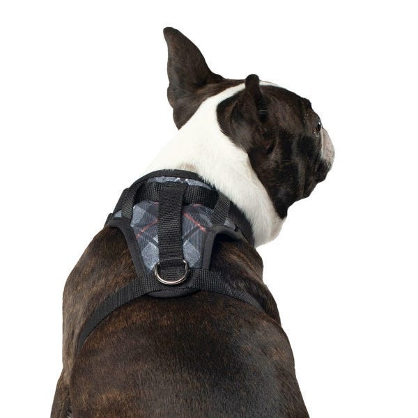 Canada Pooch The Everything Harness Water-Resistant Plaid