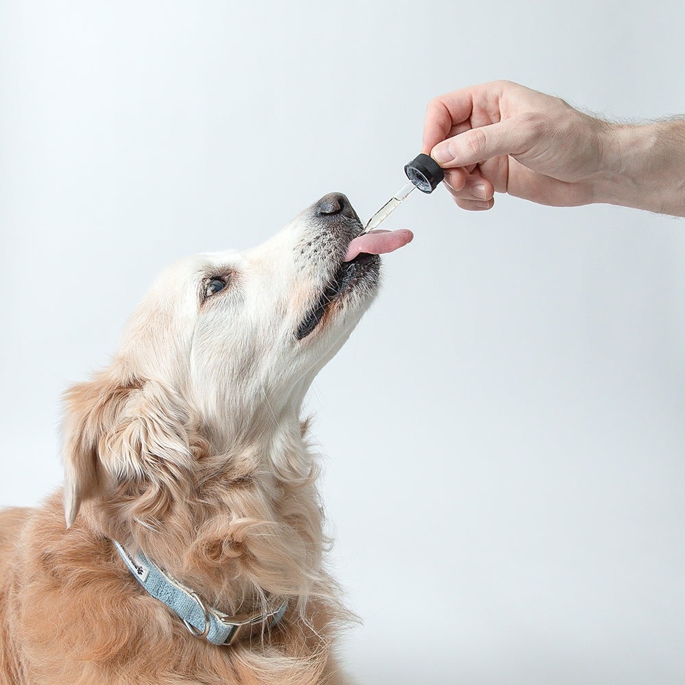 Pawtanical PawDaily Full Spectrum Hemp Health Oil