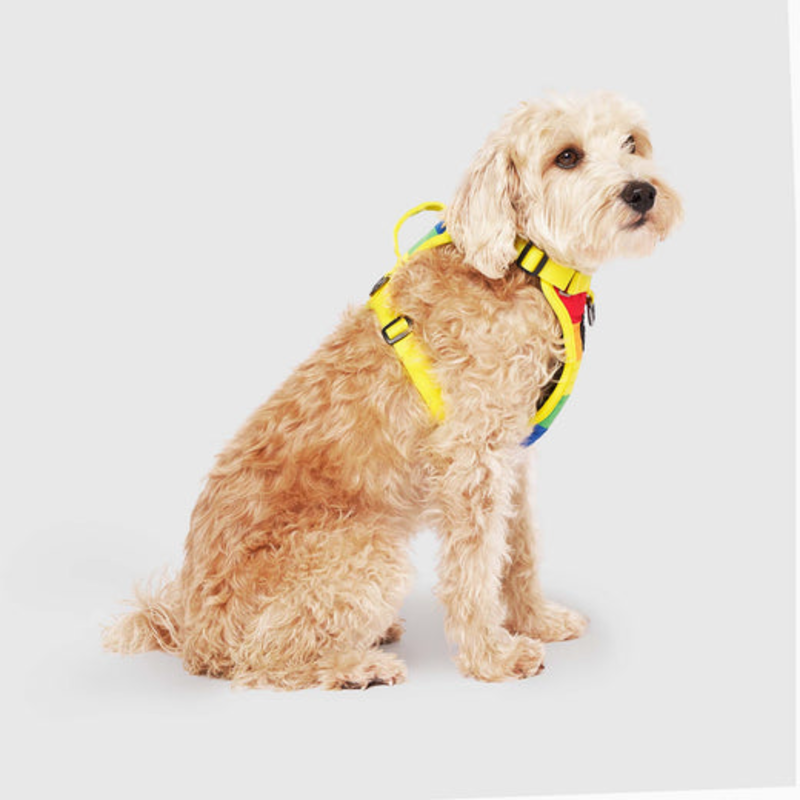 Canada Pooch Everything Harness - Mesh Rainbow