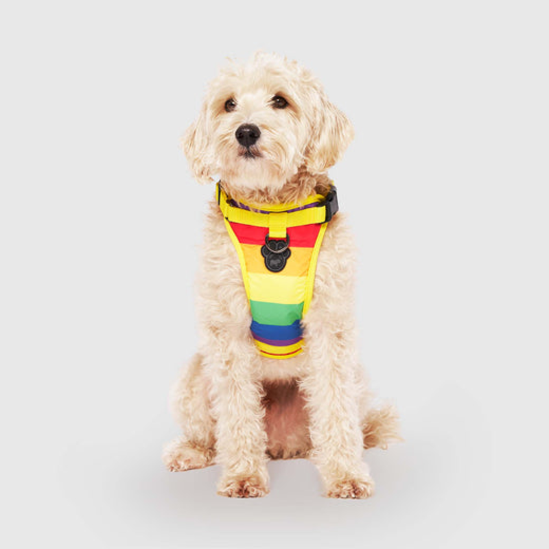 Canada Pooch Everything Harness - Mesh Rainbow