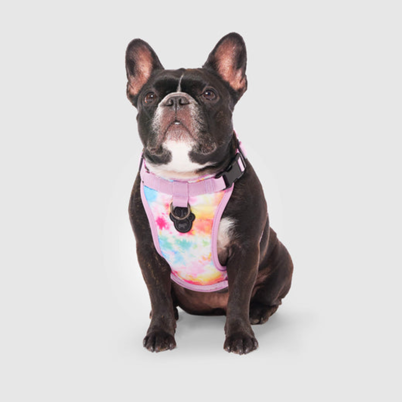 Canada Pooch Everything Harness - Tie Dye