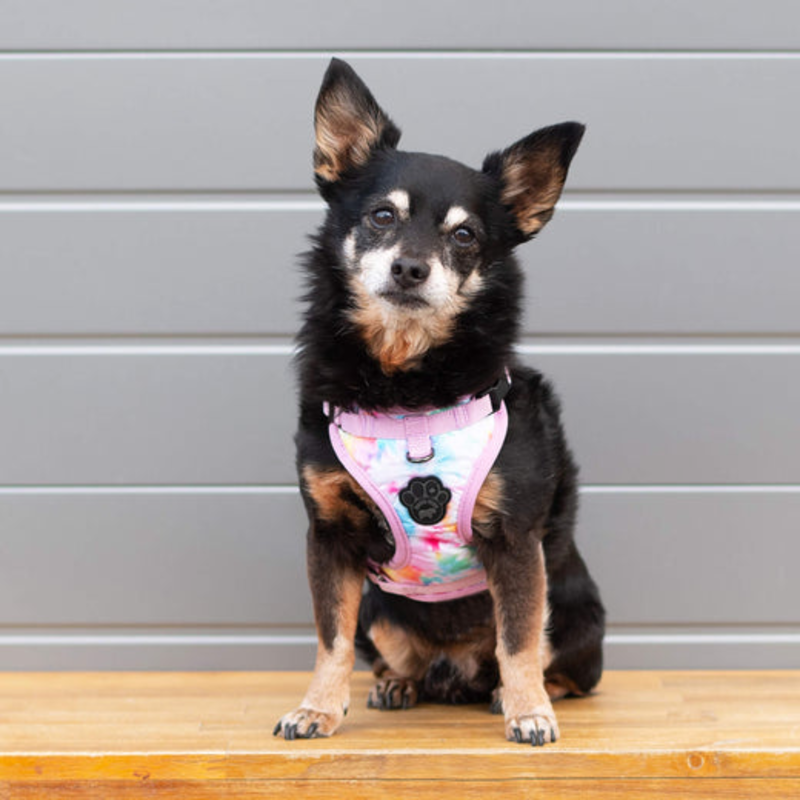 Canada Pooch Everything Harness - Tie Dye
