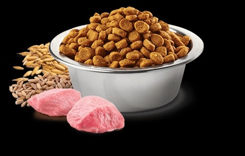 Farmina N&D Ancestral Grain Feline Lamb & Blue Berry Adult-11Ibs