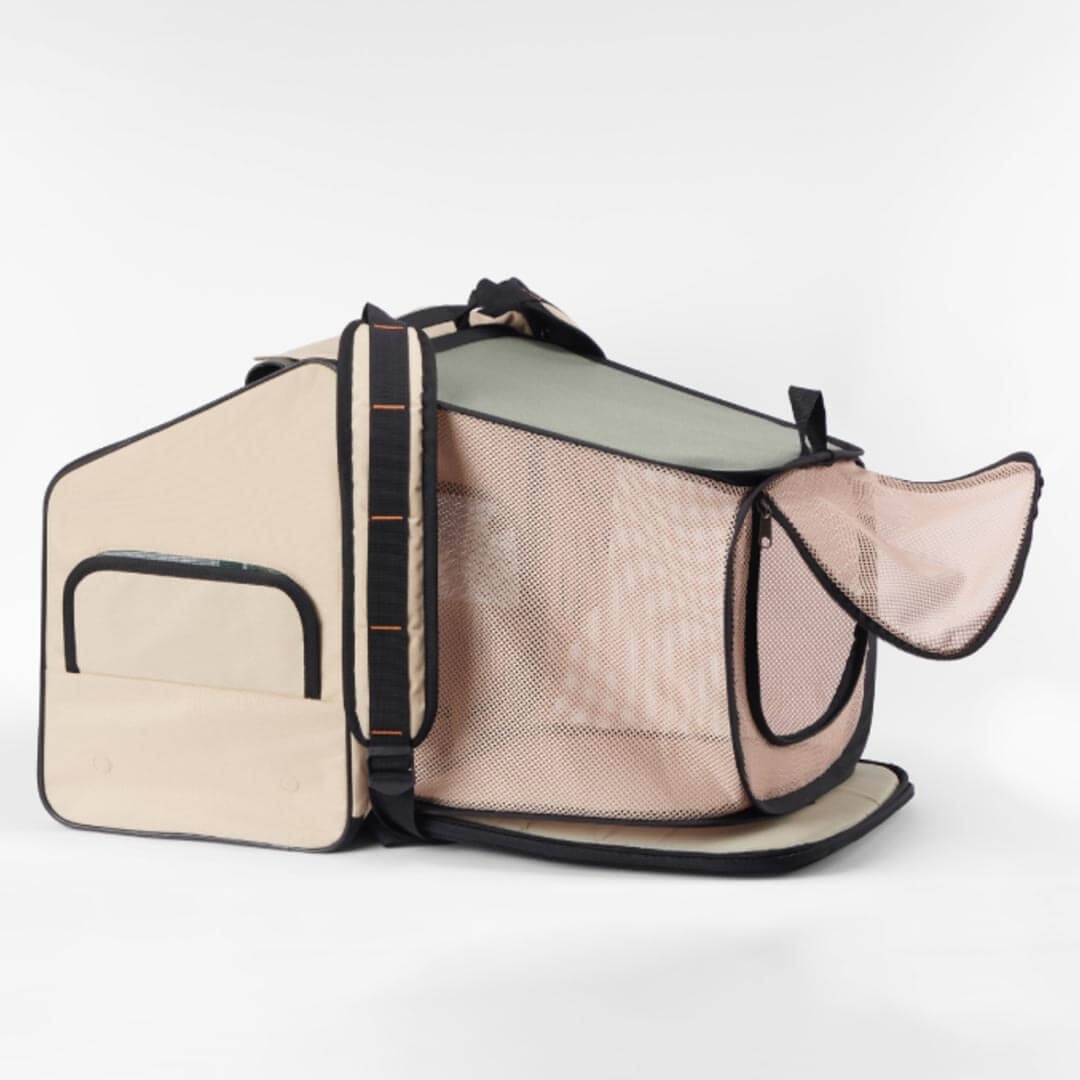 Pidan Expanded and Closed Two Modes of One Backpack