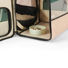 Pidan Expanded and Closed Two Modes of One Backpack