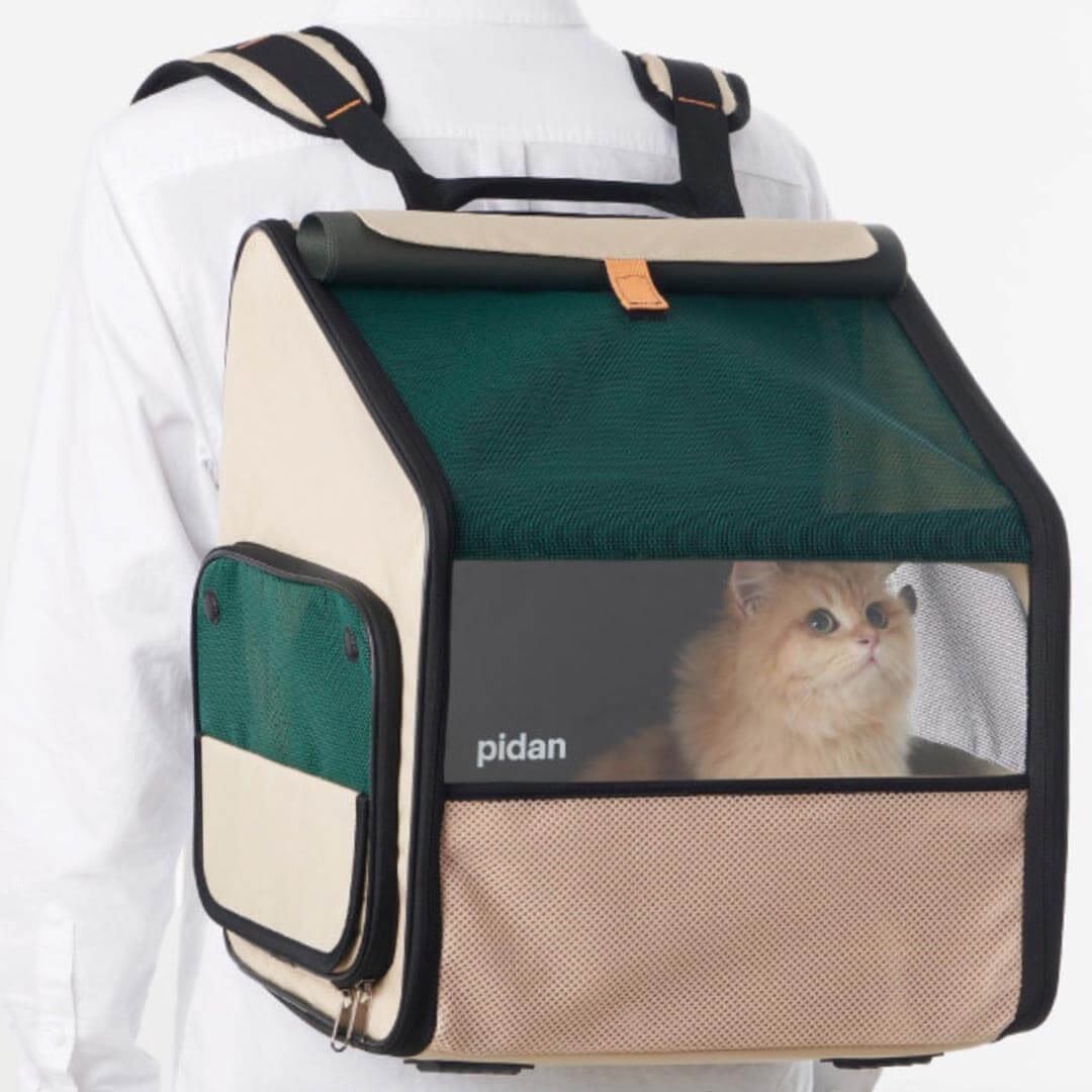 Pidan Expanded and Closed Two Modes of One Backpack