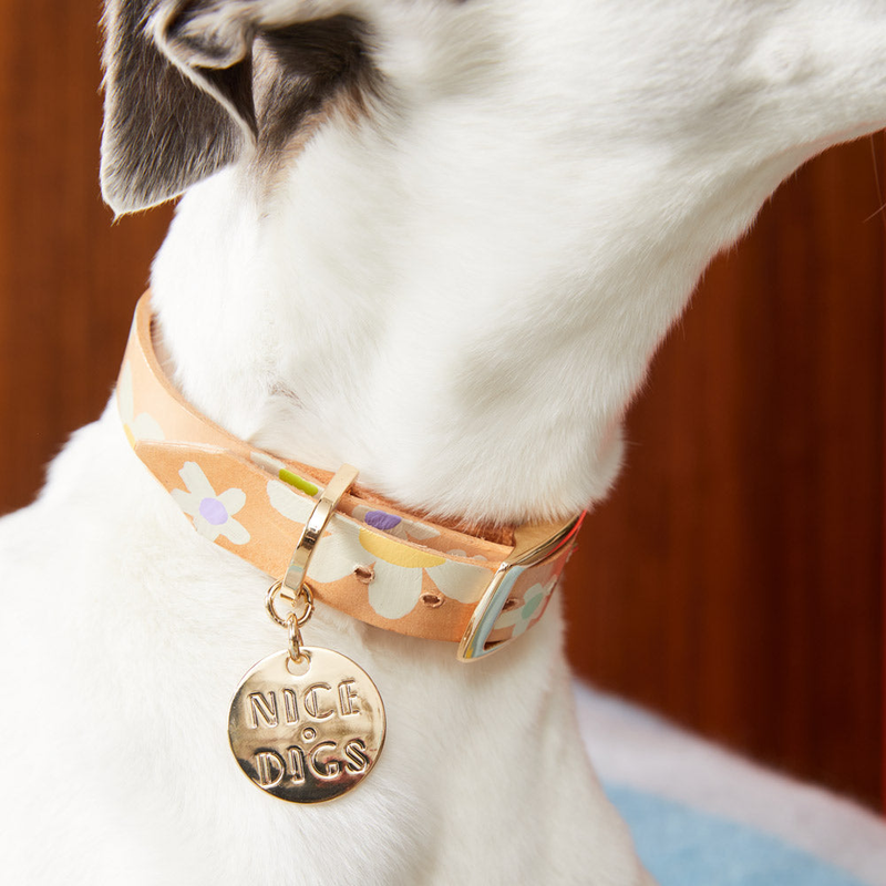 Nice Digs Posie Leather Dog Collar Spring