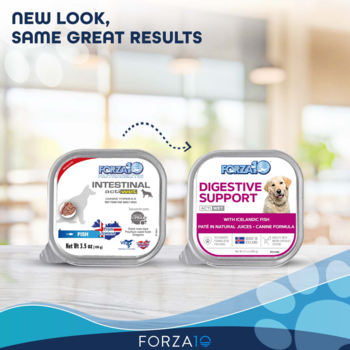 Forza Dog Digestive Support 3.5oz