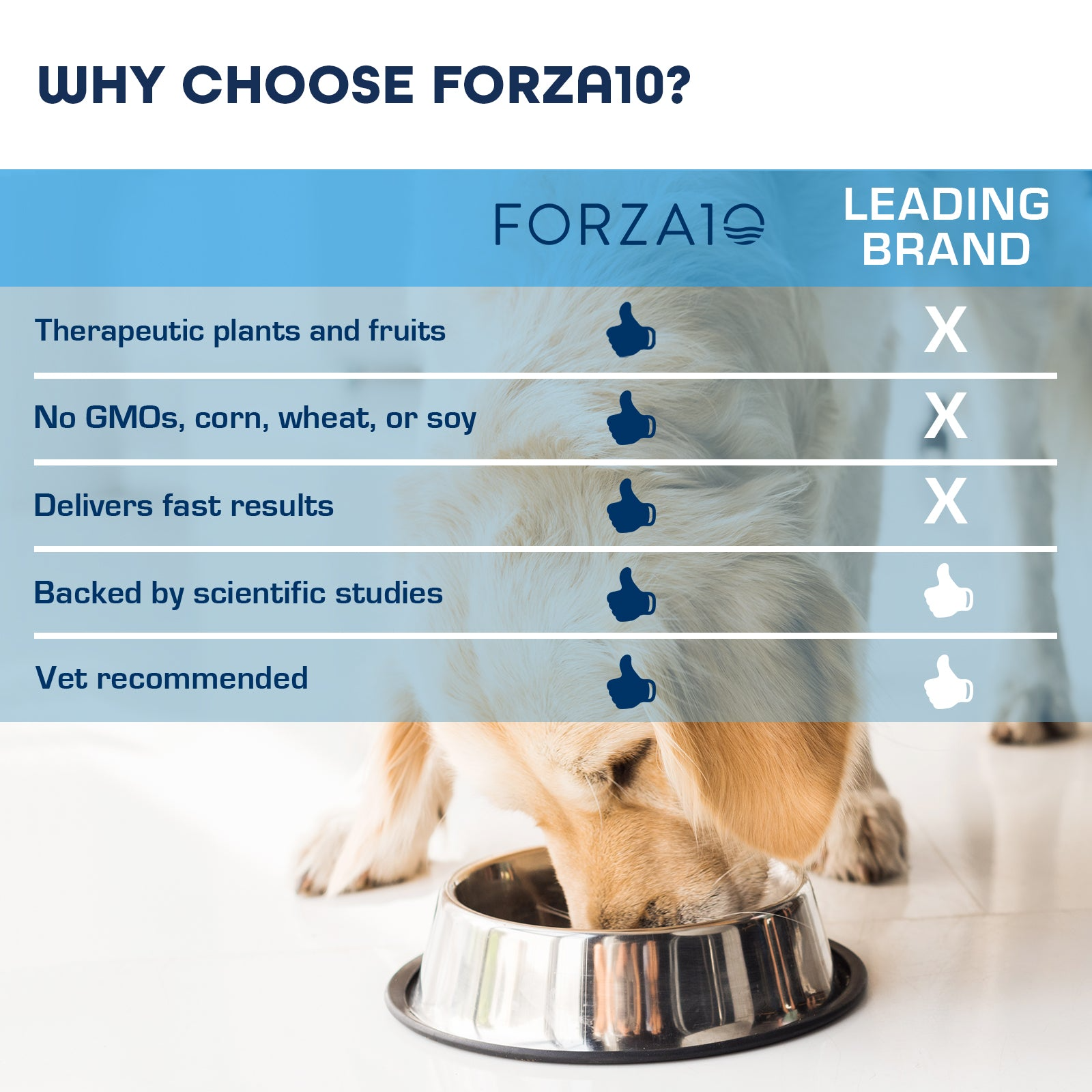 Forza Dog Digestive Support 3.5oz