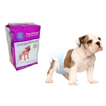 Pooch Pad Disposable Absorbent Diapers - Large