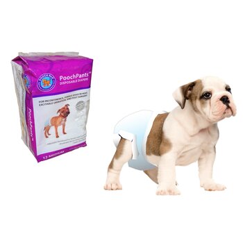 Pooch Pad Disposable Absorbent Diapers