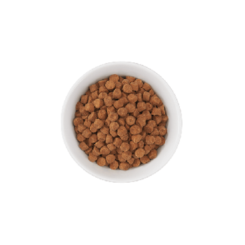 Tiki Cat Born Carnivore Optimal Weight Turkey Recipe Dry Cat Food 2.8 lb