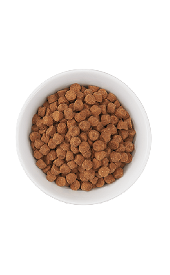 Tiki Cat Born Carnivore Optimal Weight Turkey Recipe Dry Cat Food 2.8 lb