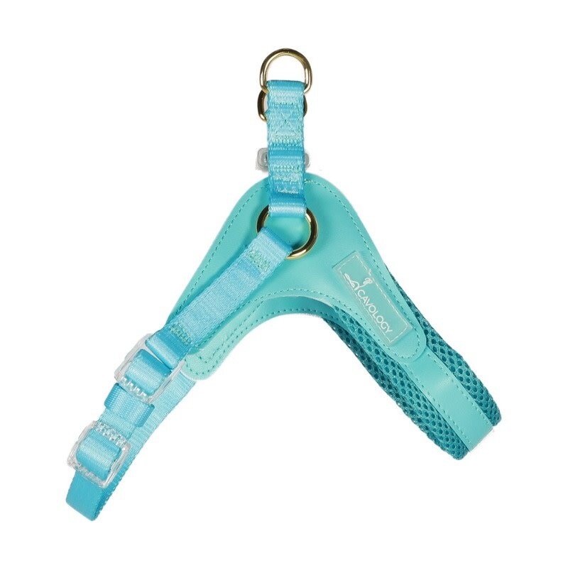 Cavology Easy-O Step-In Harness Teal
