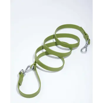 Wild One Small Leash: Moss