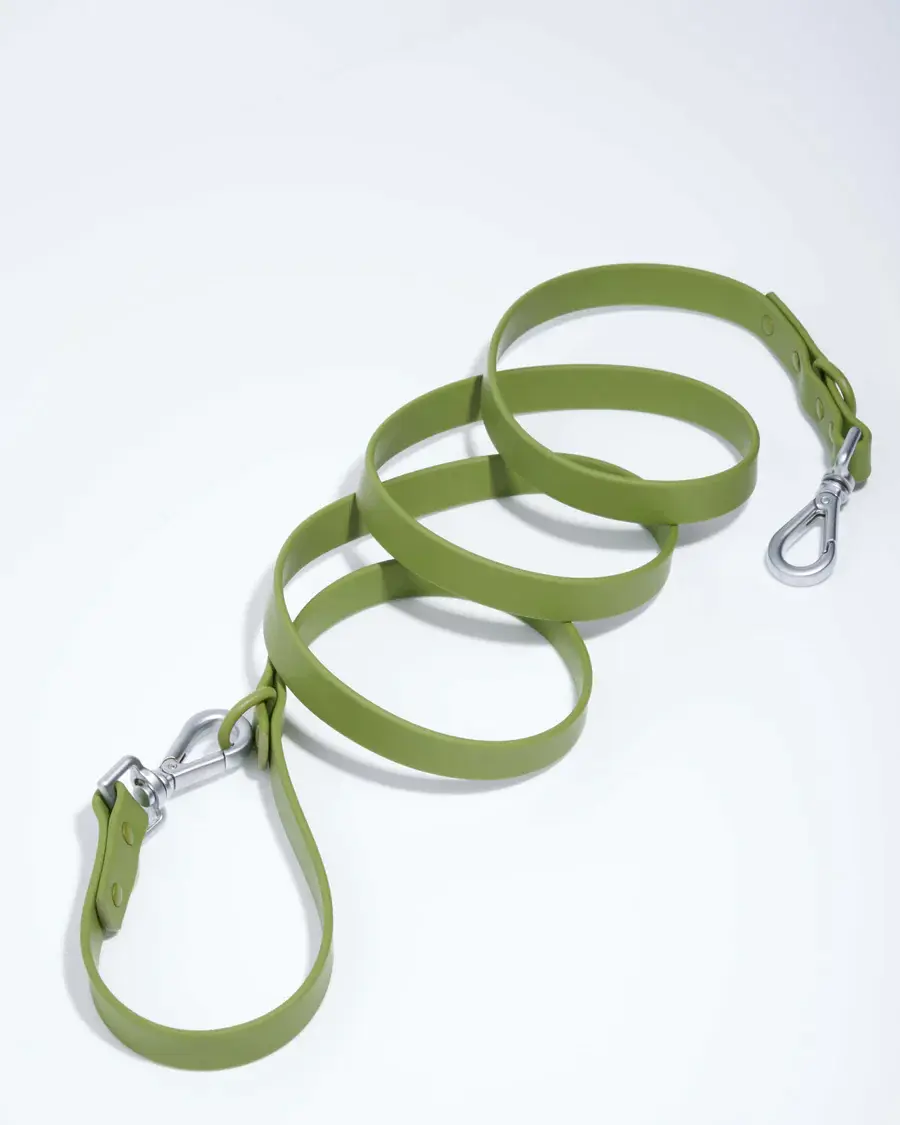 Wild One Small Leash: Moss