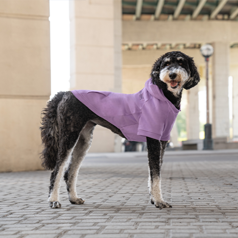 Canada Pooch Eco+ Everyday Hoodie: Lilac