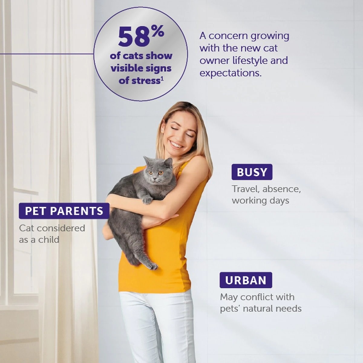 Feliway Feliway Optimum