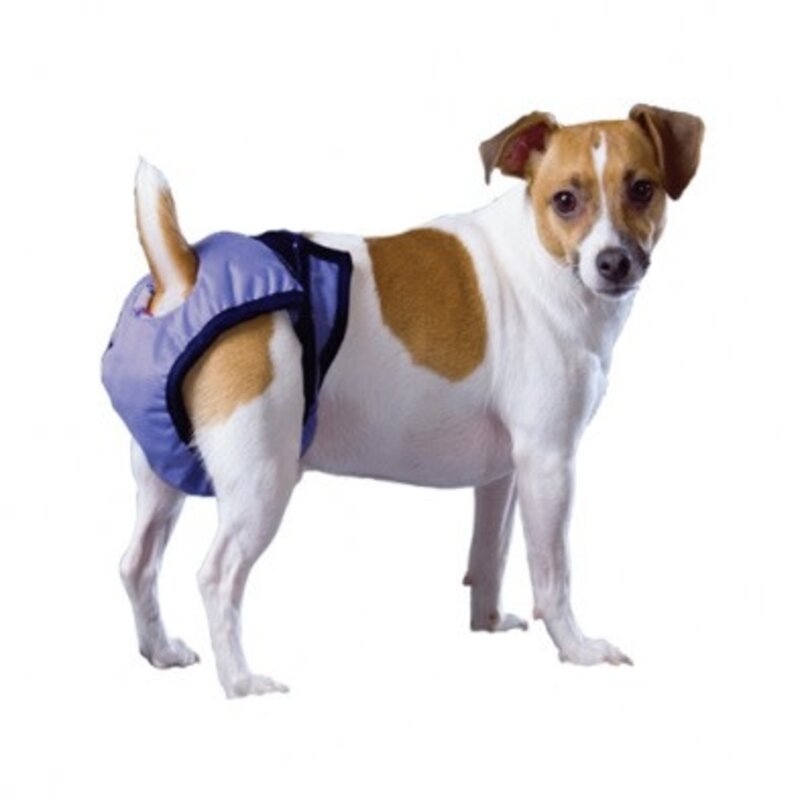 Pooch Pad PoochPants Premium Reusable Diaper