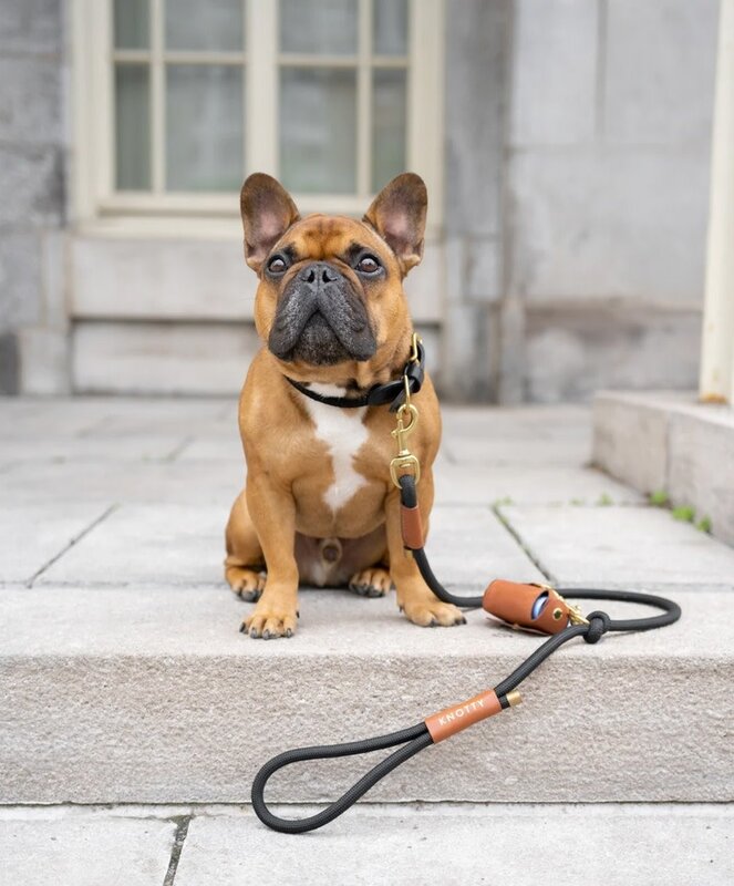 Knotty Pets Copy of Burgundy Rope Leash – Brass