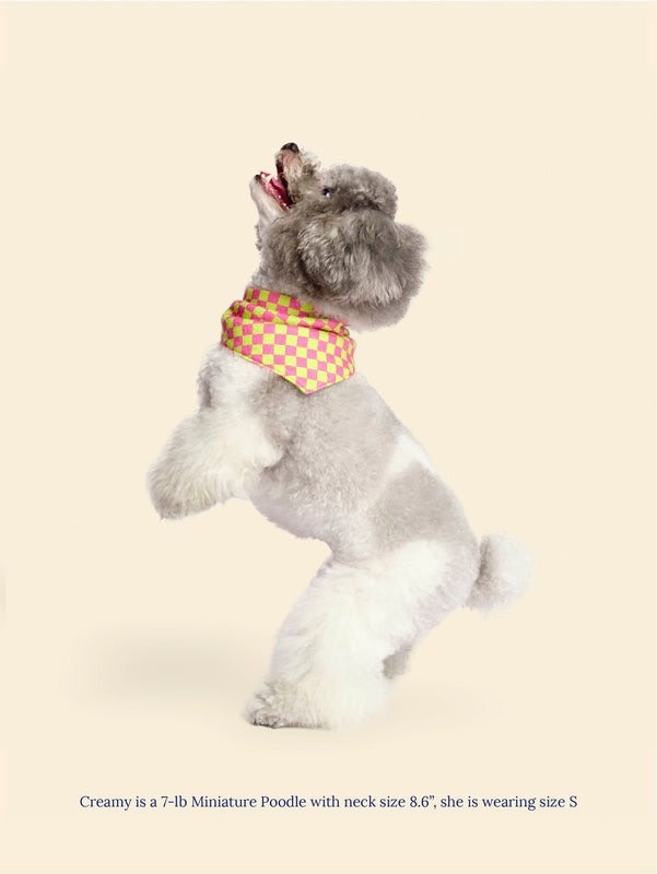 Little Beast Weekend Picnic Bandana