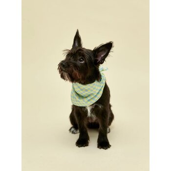 Little Beast Calm And Collected Bandana