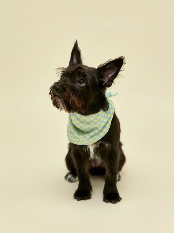 Little Beast Calm And Collected Bandana
