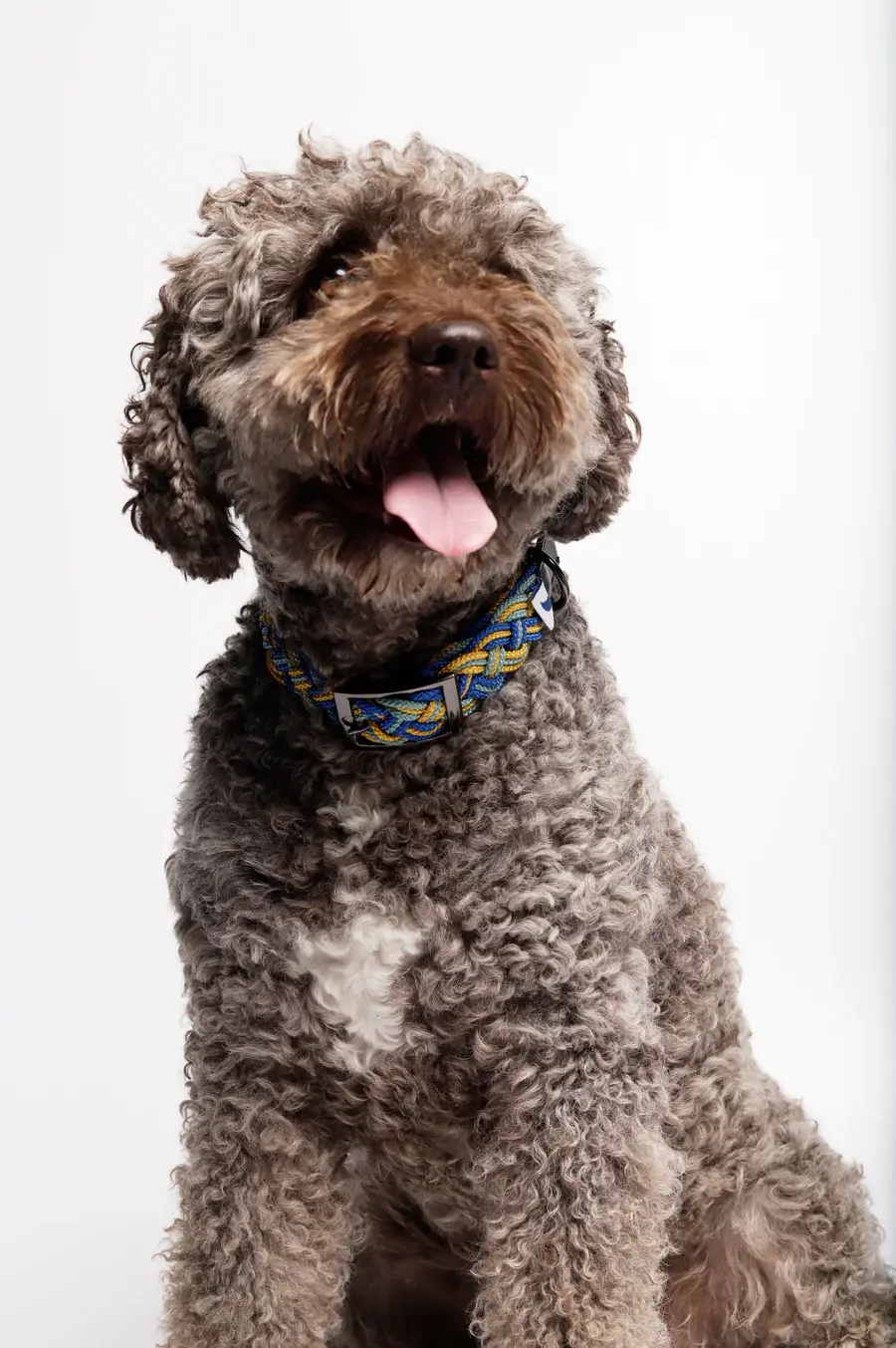 The Painter'sWife Corme Collar- Turquoise & Yellow