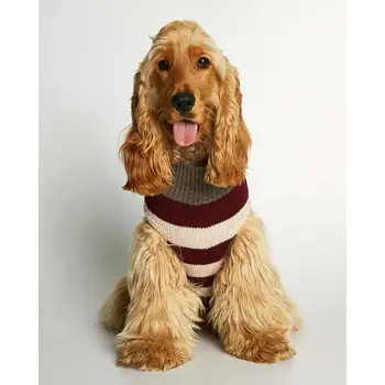 The Painter'sWife Anni Cashmere Dog sweater - Medium