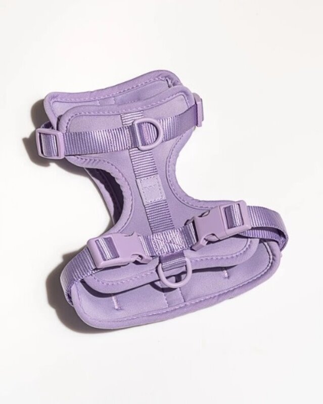 Wild One Harness 2.0 Lilac Large
