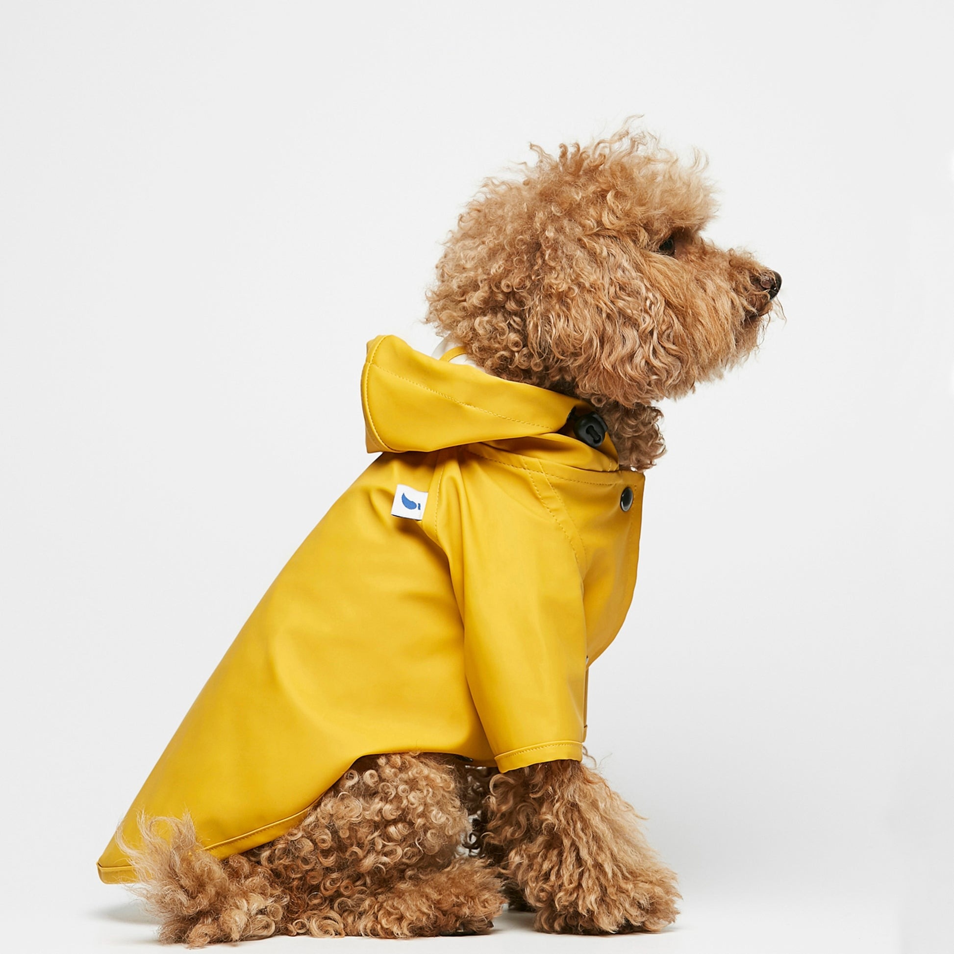 The Painter'sWife Sarah Raincoat - Yellow