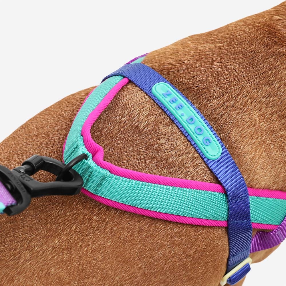 Zee Dog Softer Walk- Shockwave