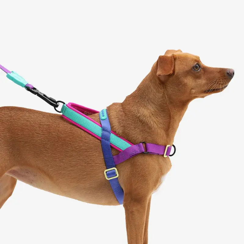 Zee Dog Softer Walk- Harness Shockwave
