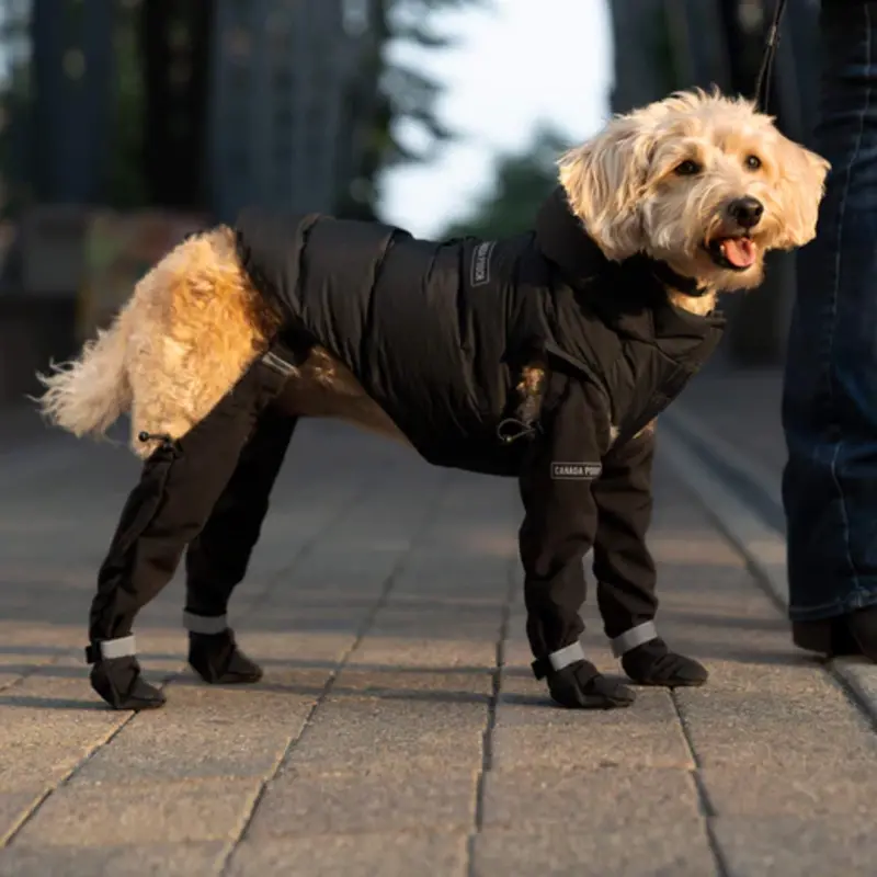 Canada Pooch Suspender Dog Boots - Short - Black