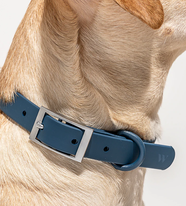 Wild One Wild One Collar - Navy
