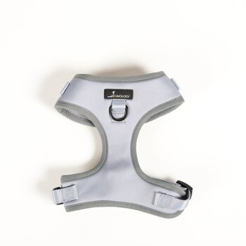 Cavology Adjustable Harness - Whistler