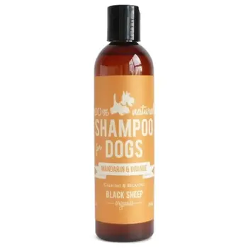 Black Sheep Organics Mandarin & Orange Organic Shampoo