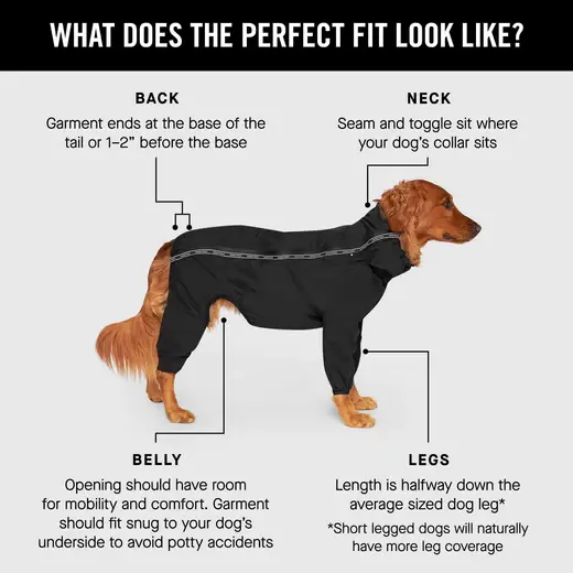 Canada Pooch Slush Suit - Black