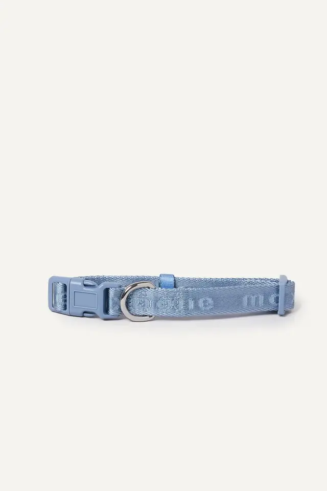 Max-Bone Signature Dog Collar