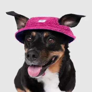 Canada Pooch Cool Factor Bucket Hat - Pink/Purple