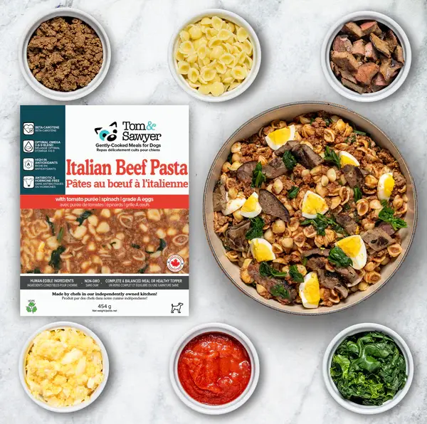 Tom & Sawyer Tom&Sawyer Italian Beef Pasta Frozen Dog Food, 454-gram