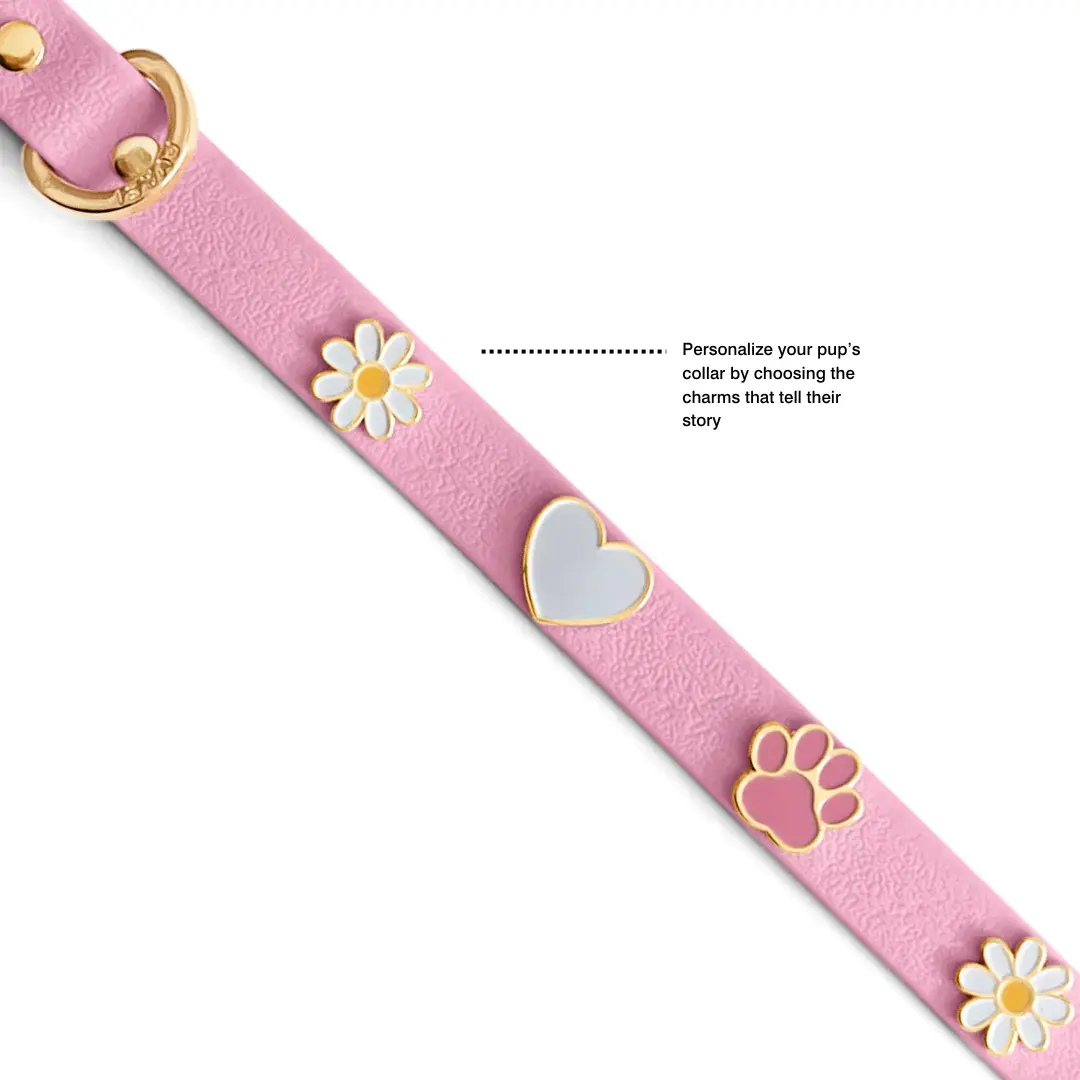 Furei Pets Charm Collar