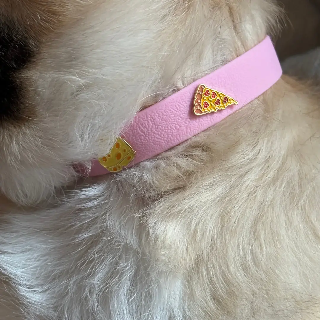 Furei Pets Charm Collar