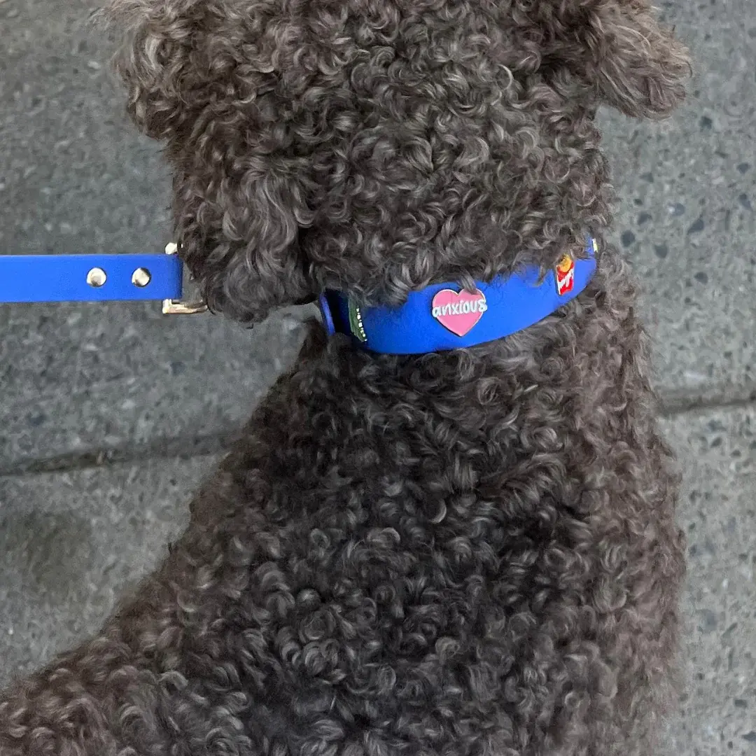 Furei Pets Charm Collar