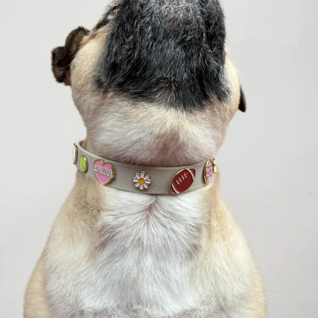 Furei Pets Charm Collar