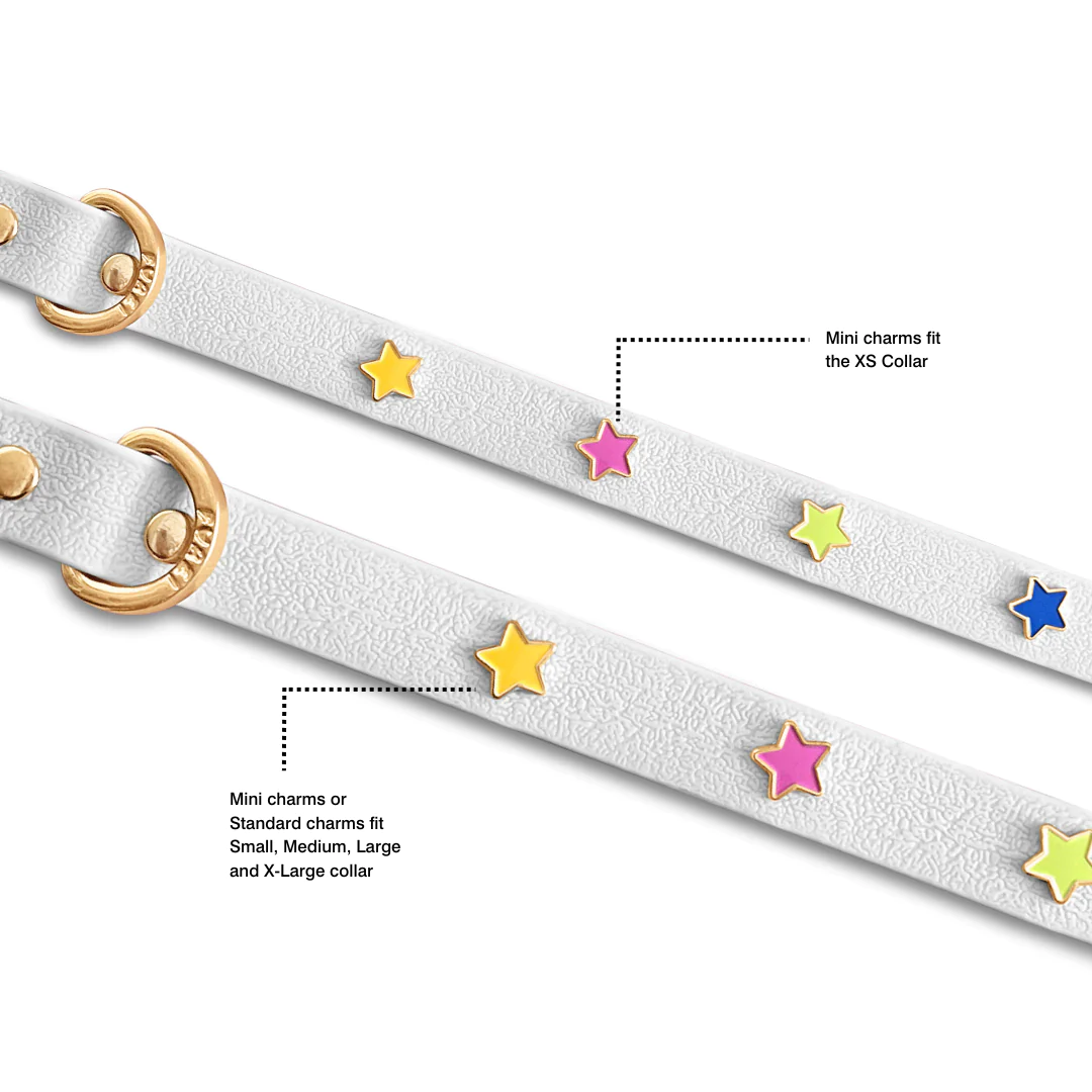 Furei Pets Charm Collar